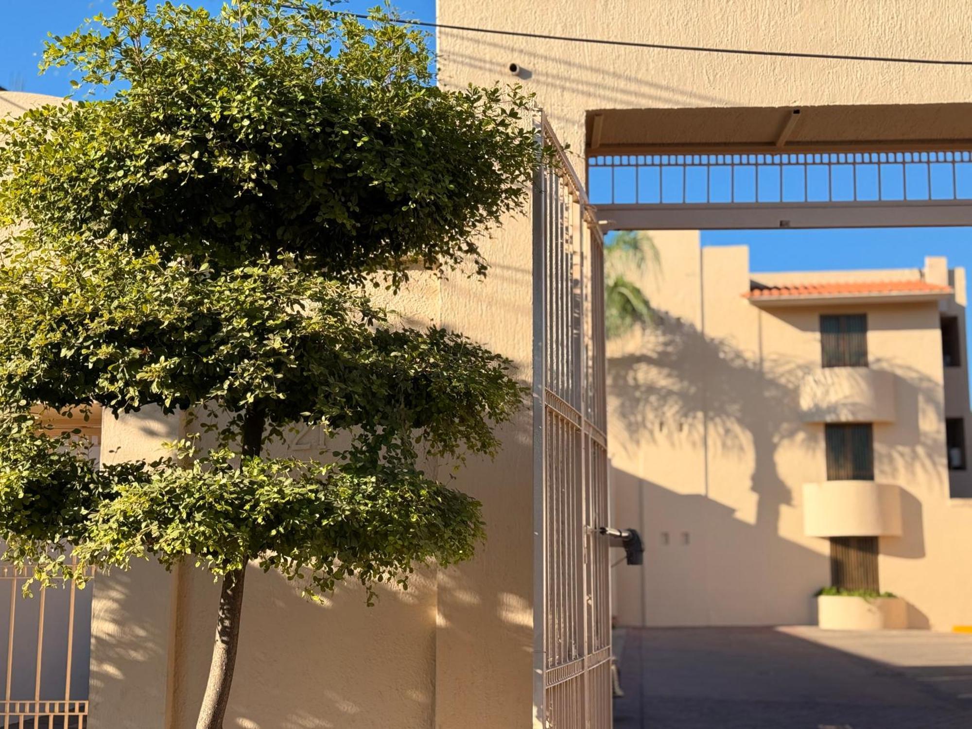 טקילה Villa La Palma Hotel מראה חיצוני תמונה